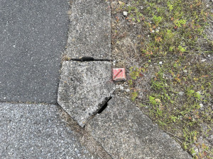 熊谷市西野、土地の画像です