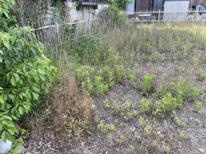 熊谷市西野、土地の画像です