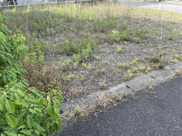熊谷市西野、土地の画像です
