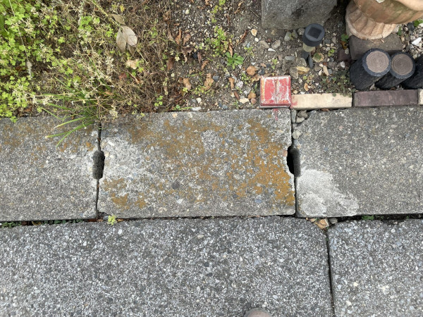 熊谷市西野、土地の画像です