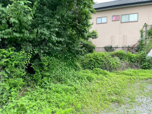 熊谷市石原、土地の周辺画像画像です