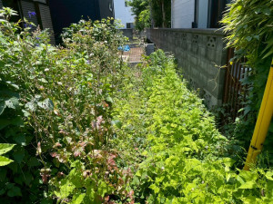 熊谷市本石、中古一戸建ての画像です