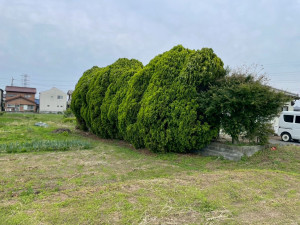 熊谷市小曽根、中古一戸建ての画像です