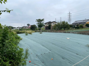 深谷市新井、土地の周辺画像画像です
