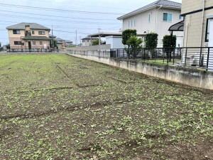 深谷市普済寺、土地の画像です
