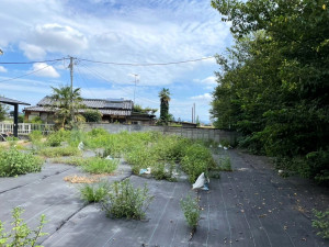 深谷市下手計、土地の周辺画像画像です