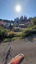 河北郡津幡町字御門、土地の画像です