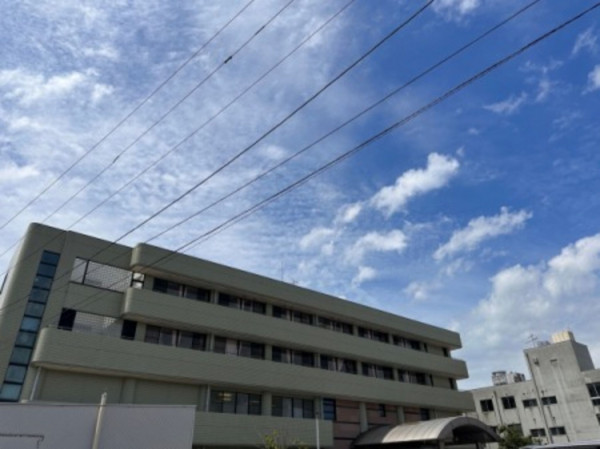 河北郡津幡町字杉瀬、土地の画像です