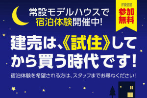 河北郡津幡町字津幡、新築一戸建てのその他画像です