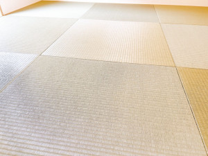 かほく市横山、中古一戸建てのその他画像です