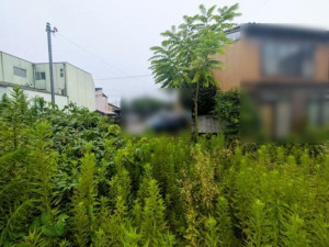 金沢市幸町、土地の画像です