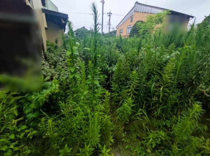 金沢市幸町、土地の画像です