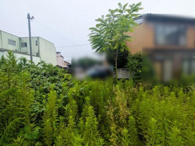 金沢市幸町、土地の画像です