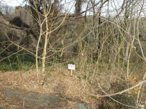 高崎市寺尾町、土地の画像です
