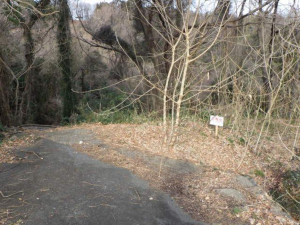 高崎市寺尾町、土地の画像です
