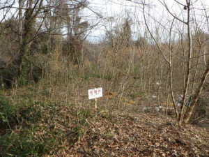 高崎市寺尾町、土地の画像です