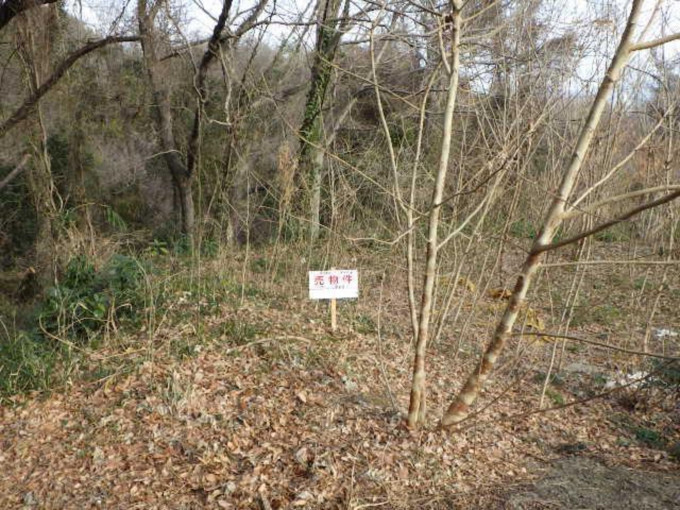 高崎市寺尾町、土地の画像です