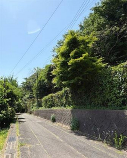 高崎市石原町、土地の画像です