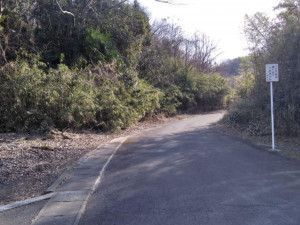 高崎市山名町、土地の画像です