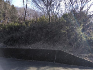 高崎市山名町、土地の画像です