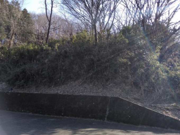 高崎市山名町、土地の画像です