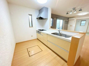 高崎市八千代町、中古一戸建ての画像です