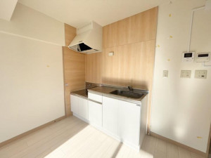 高崎市八千代町、収益物件/マンションの画像です