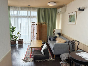 高崎市八千代町、収益物件/店舗付住宅の画像です
