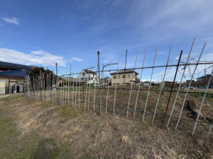 高崎市棟高町、土地の画像です