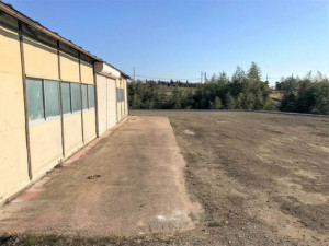 高崎市箕郷町、土地の画像です