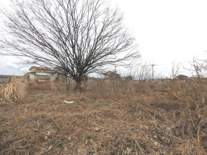高崎市矢島町、土地の画像です
