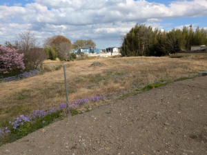 高崎市下佐野町、土地の画像です