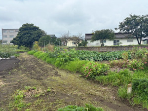 高崎市箕郷町、土地の画像です