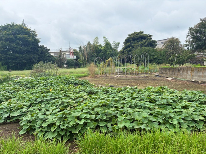 高崎市箕郷町、土地の画像です