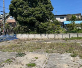 豊橋市一色町、土地の画像です