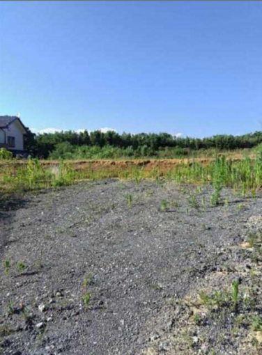 豊橋市伊古部町、土地の画像です