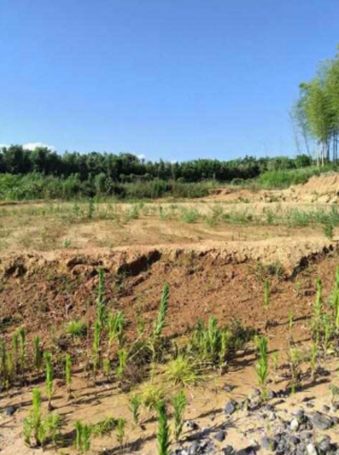 豊橋市伊古部町、土地の画像です