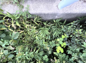 豊橋市西幸町、土地の画像です