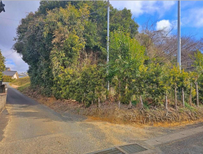 豊橋市老津町、土地の画像です