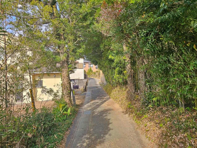 豊橋市老津町、土地の画像です