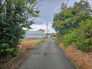 豊橋市老津町、土地の画像です