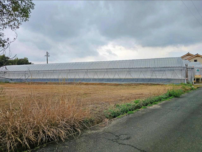豊橋市老津町、土地の画像です