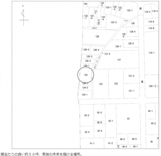 豊橋市花中町、土地の間取り画像です