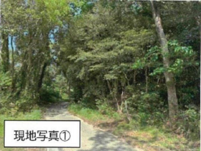豊橋市南大清水町、土地の画像です