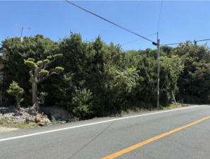 豊橋市若松町、土地の画像です