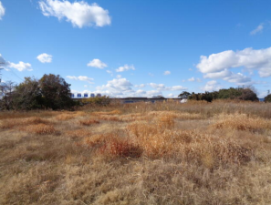 豊橋市吉前町、土地の画像です