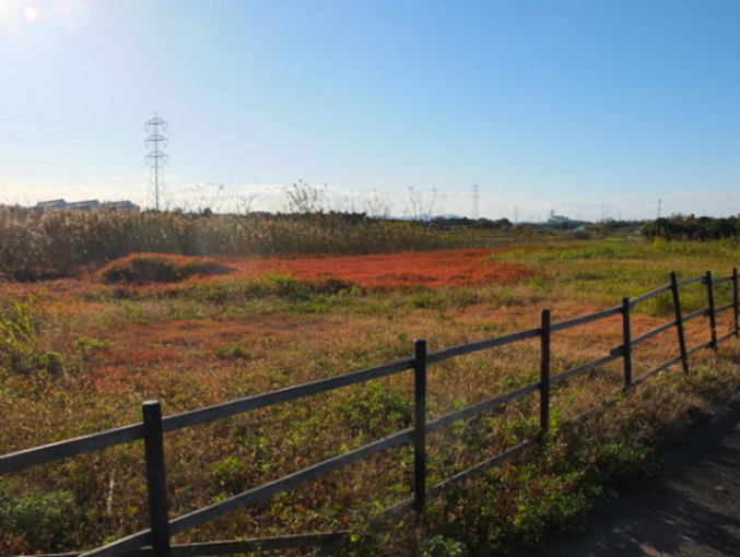 豊橋市冨士見町、土地の画像です