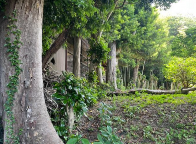 豊橋市王ケ崎町、土地の画像です