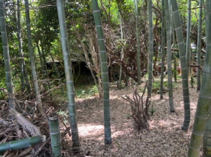 豊橋市王ケ崎町、土地の画像です