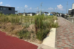 豊橋市牟呂町、土地の画像です